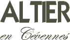 logo (3)