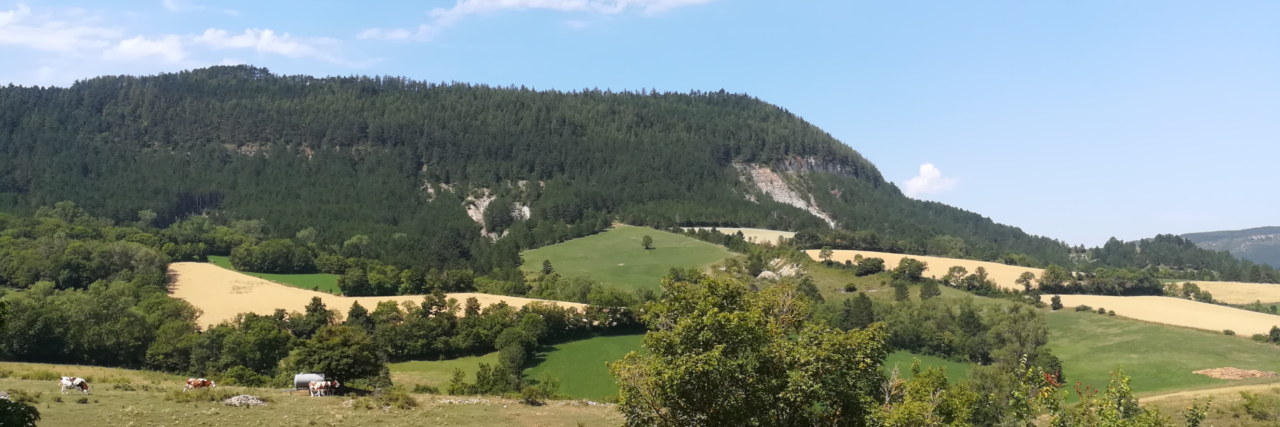 Valdo Communauté de Communes Mont-Lozère