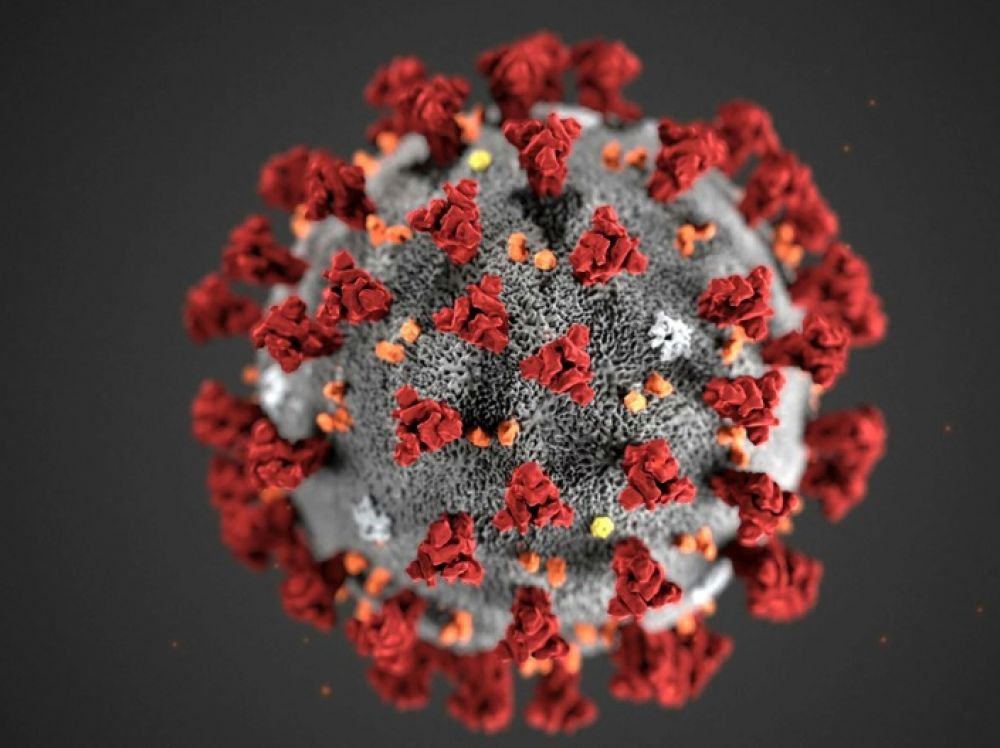 INFO « CORONAVIRUS » INFO « CORONAVIRUS »